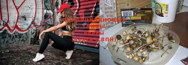 героин Лиски