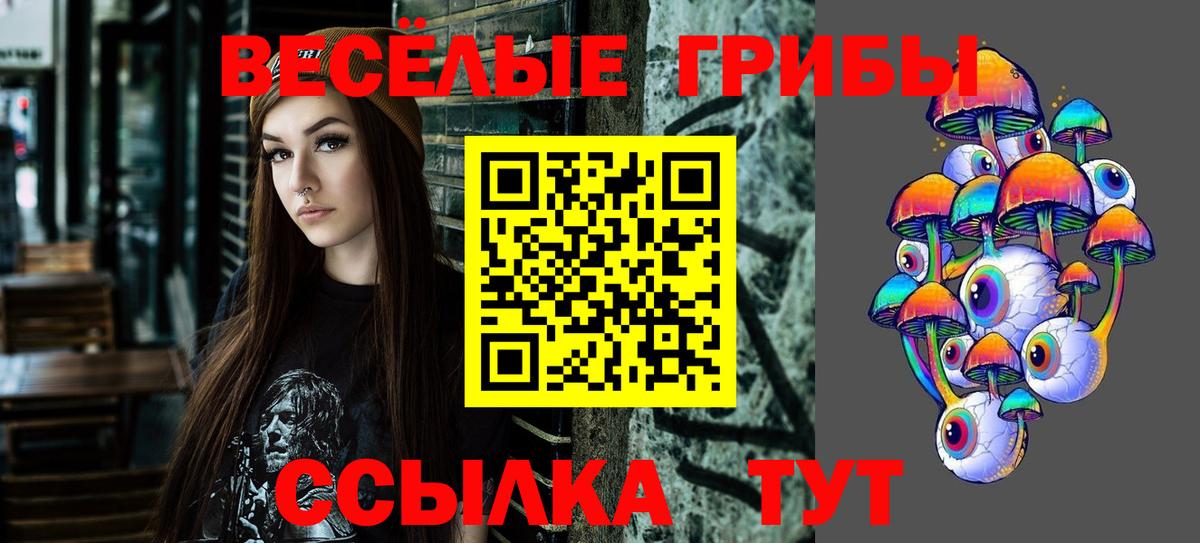 Псилоцибиновые грибы Psilocybine cubensis  сколько стоит  Люберцы 